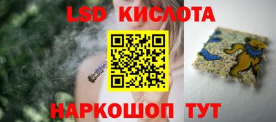 крисы Аргун