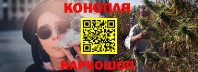 крисы Аргун