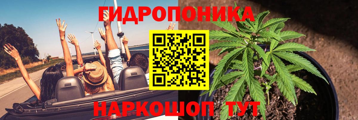 Канабис семена  Бошки марихуана план  Вход с VPN  Бошки марихуана конопля  Волжский 